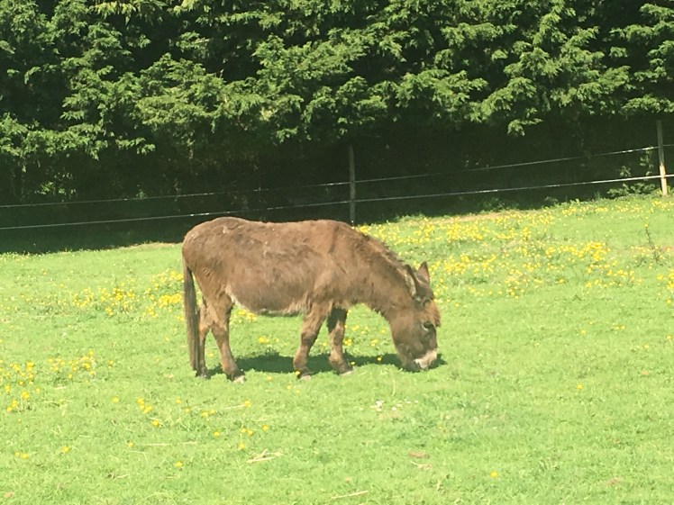 A01859B1-7111-4D7E-B655-6913EE7D3A03