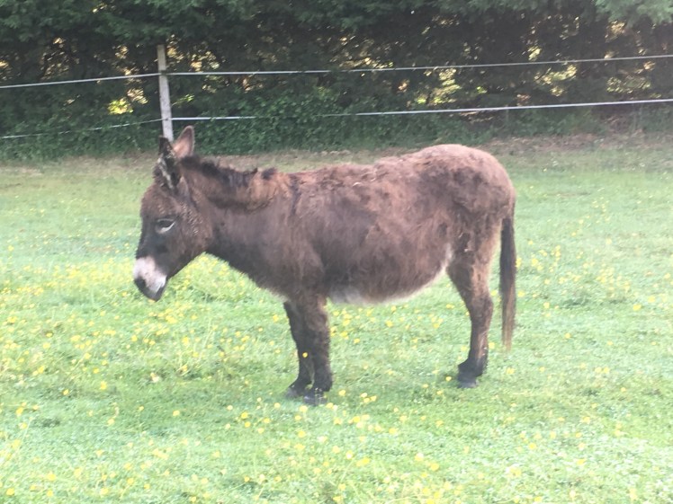 AB6FD455-D5A5-40B8-9EC8-A061E0269CC5