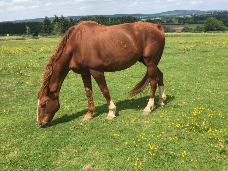 AD779BAF-4F5E-4C84-90A6-720961931C5C