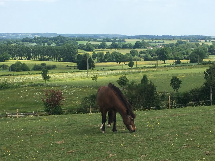 B041B5BE-FB7C-465F-AA7A-D8E9CDA12673