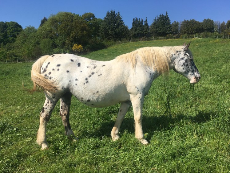 B3216FA2-58E6-4B70-B28D-5429AFCC8B6D