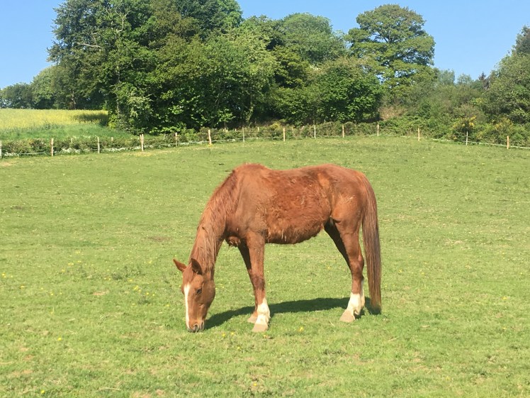 B83E35E2-8765-4317-AA68-2E8D09FCC3B7