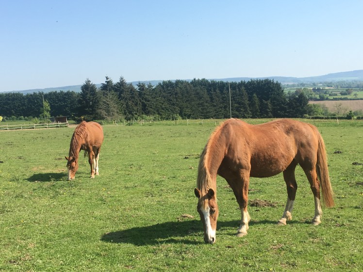 BB4A280B-7420-43C4-A3D3-4693D52C3700