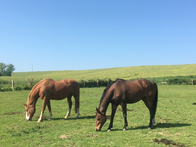 C3163054-580D-4E85-80EA-11EF8A5761EF