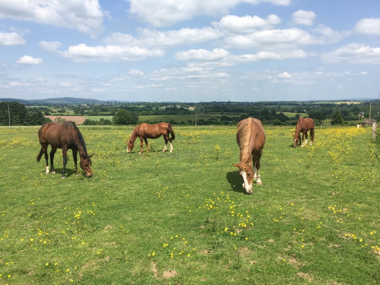 E1F32CFC-49FF-42B9-A51E-5A7DFE17A5DA