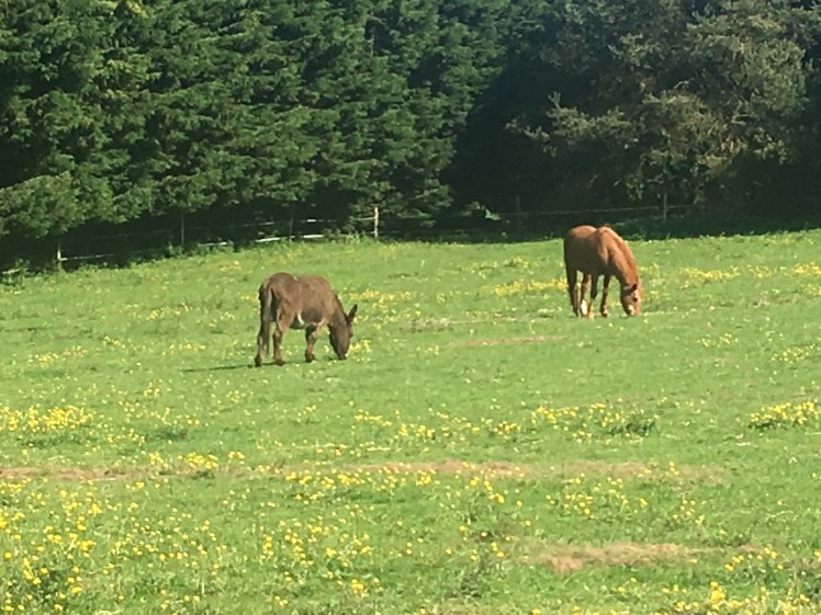 FC6FD5F1-7FAB-40A2-896F-AAC77A2589D6