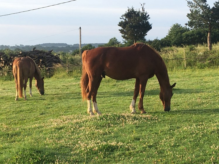 0928DD7E-E904-4661-B15E-4B5767C225AD