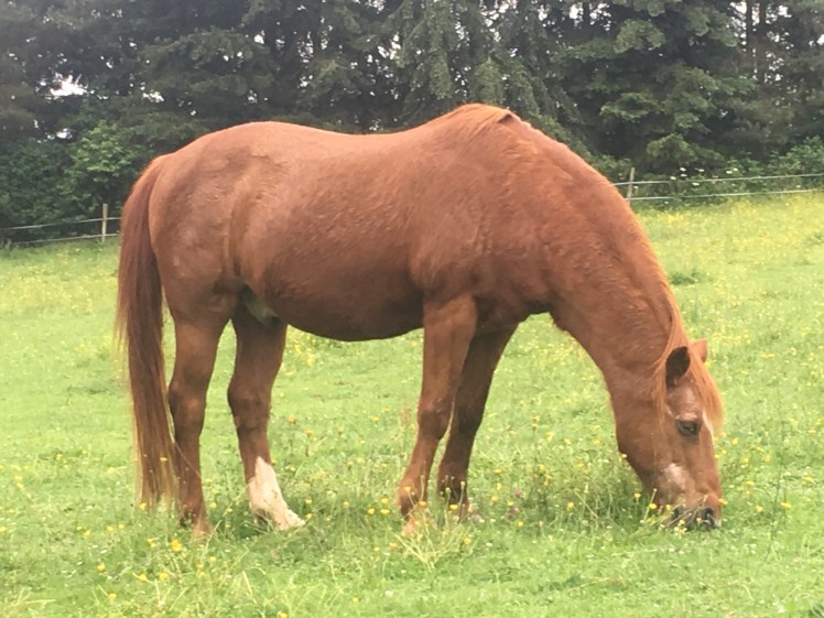 0C94FFD0-0223-4E7D-A5D2-B60807C6DBD1