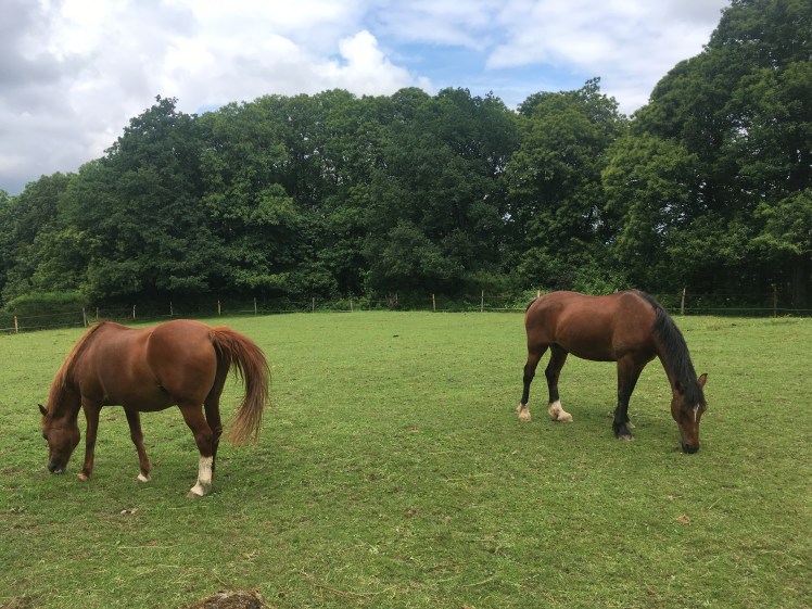 1655FFB7-E5A7-448E-AB1B-E05804592B9D