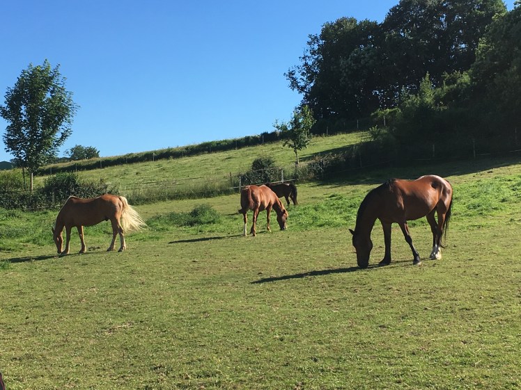 1FC86A89-BCFD-4999-9D46-E7C91D136018