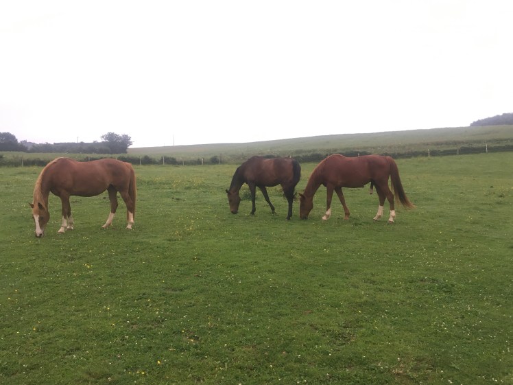 281D8A6A-6AD5-481D-B04E-978059349557