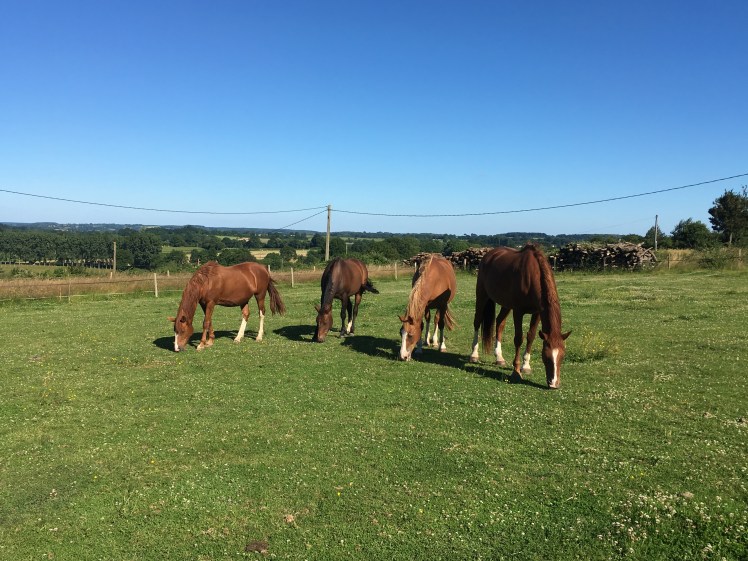 35B9A1E9-7CA1-469C-8208-BDF5D6583A8B