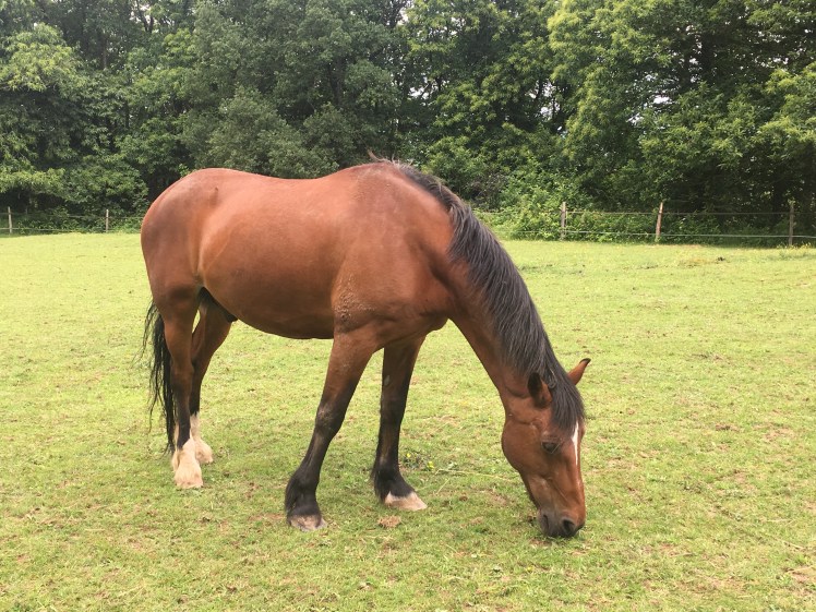 408DE8E5-2A1C-4DA4-A0DC-6201AD94EA3A