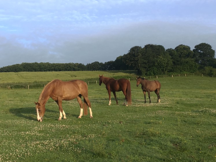 42B8625D-E907-4021-B3D8-3753570D83C7