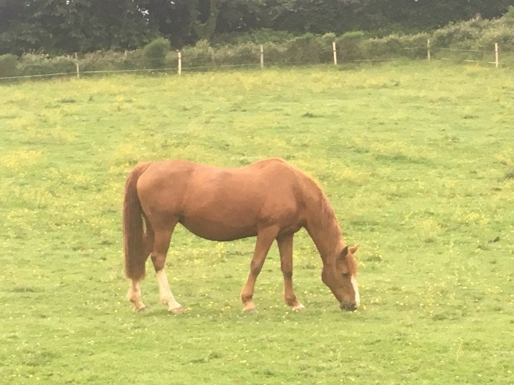 4304474F-2AD5-4D42-93ED-CB4A15E3E475