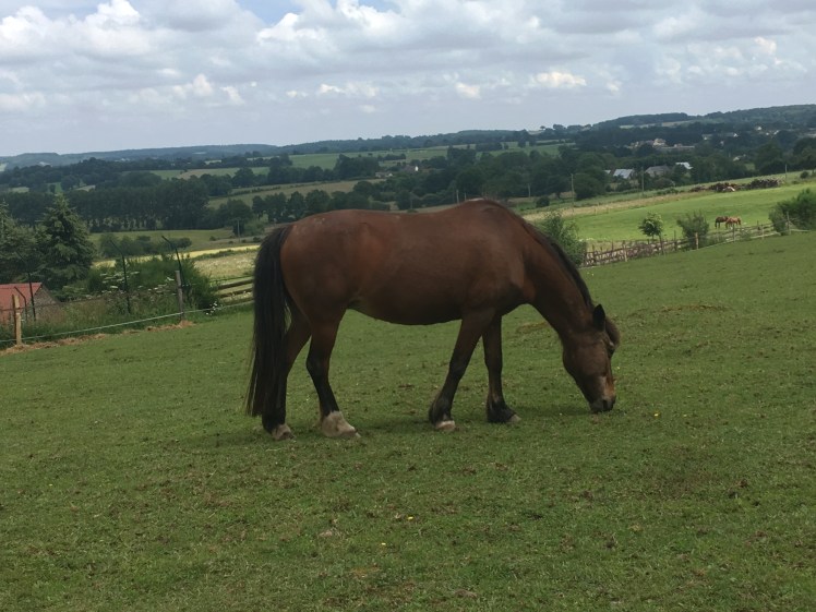 45838631-AD9F-4BB2-9C43-086D73E6FB77