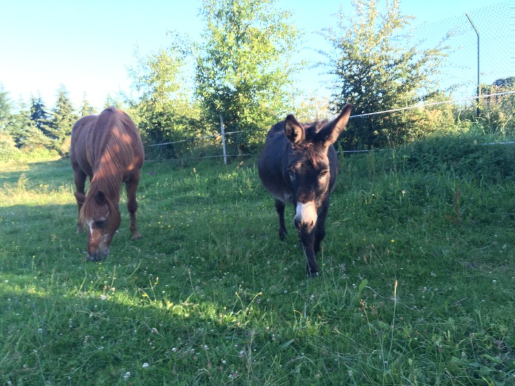 500453C9-0FEE-4F23-B205-18ECCB61F989