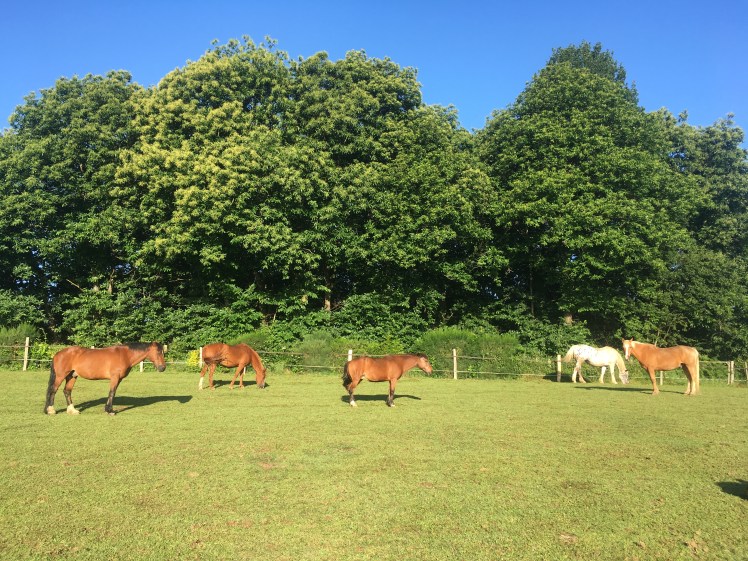 620E1419-59D6-406E-B823-3650811C6FC8