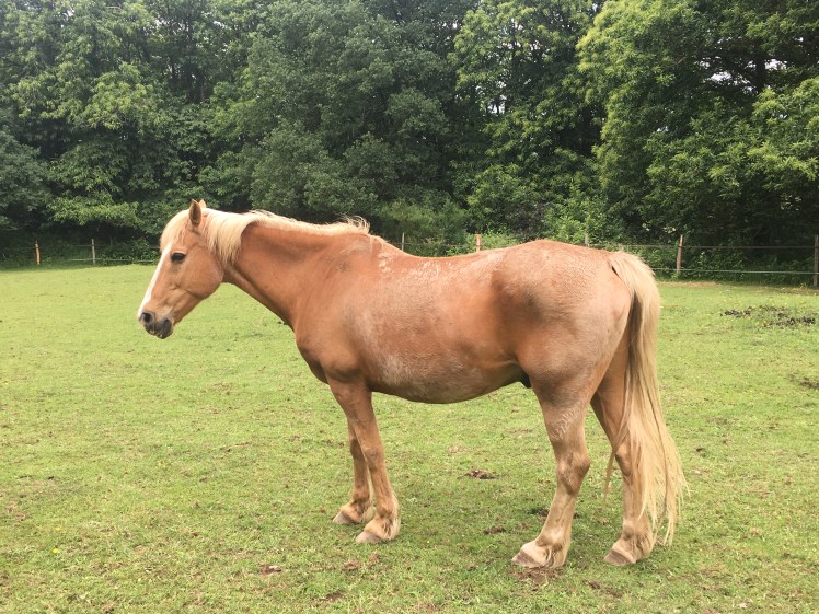 84C1885B-7E87-418B-9346-D8664B81E3C3