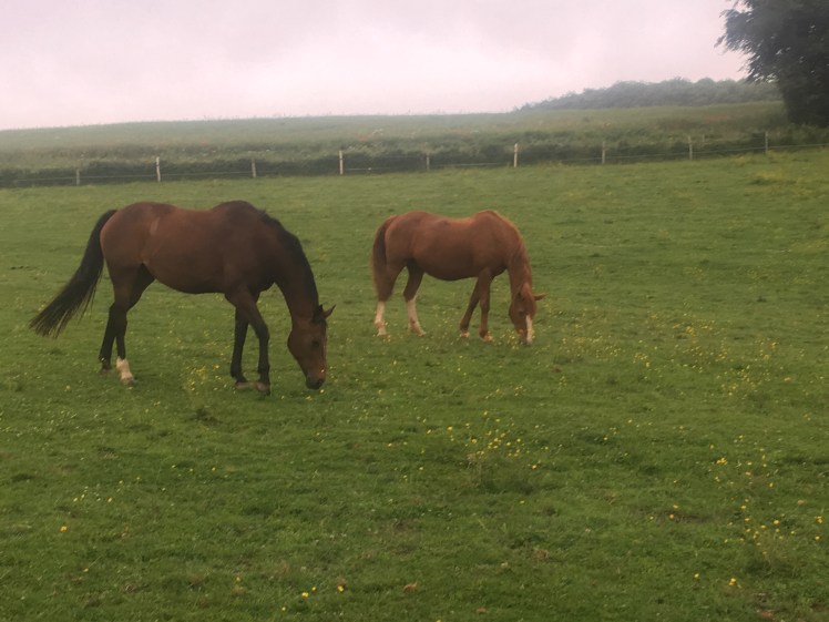 8A83FF00-AE54-4A93-9608-5993961B686D