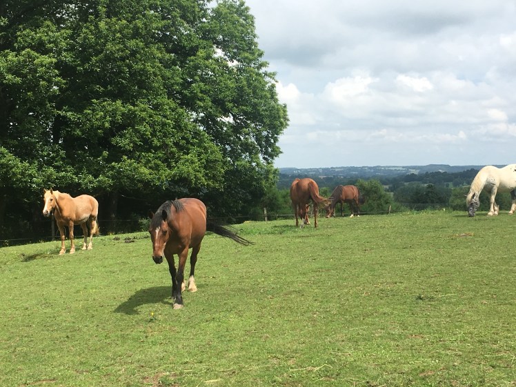 9192F45E-2DE6-4B56-AFCF-DB399ED02035