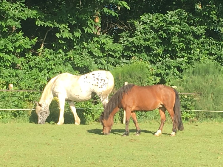 A2414EDA-B61F-46F9-B5D2-8C72CED2F404