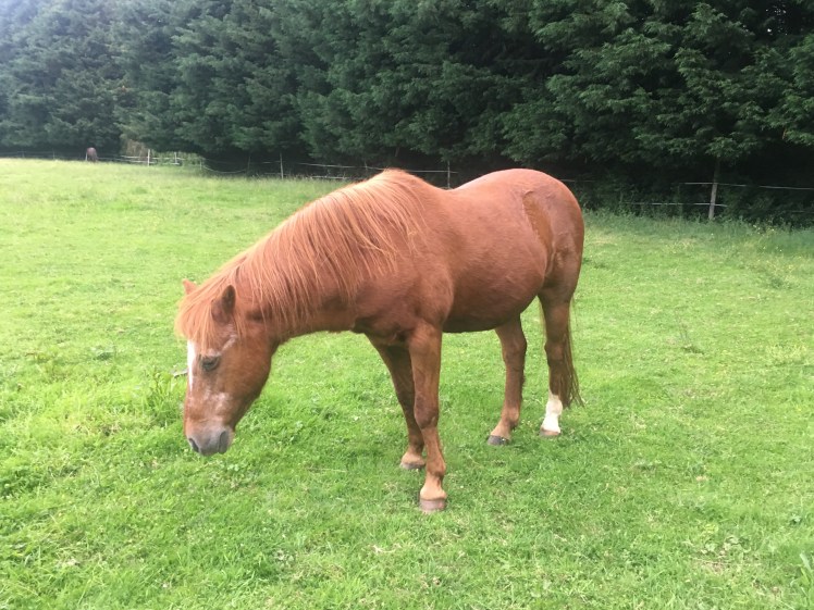 A3A215F4-38AE-45E5-B78B-98C81D407D1E