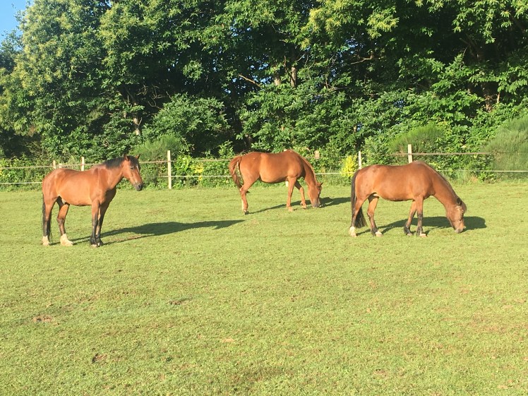 AEDC1DE3-D7A7-4418-8084-2D0DA59BB437