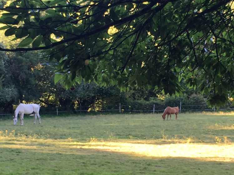 AFF6360A-B7B6-45A0-8E71-F388ADDB3F2A