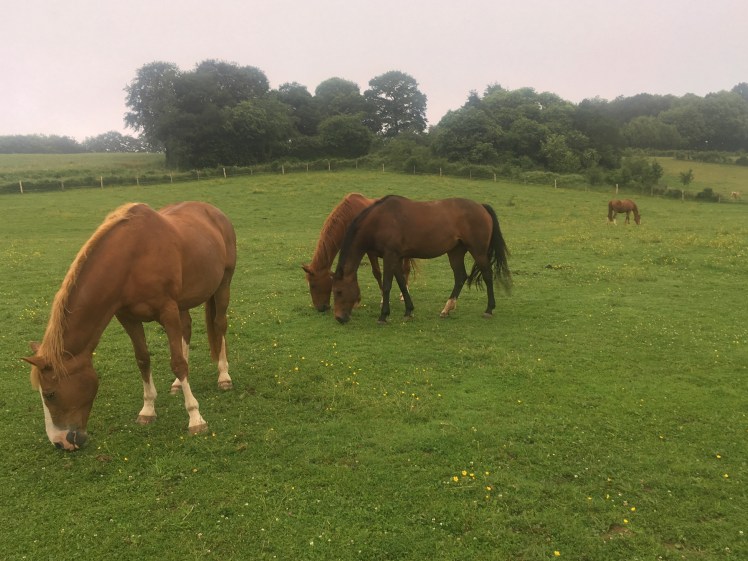 B3506442-07E0-4F60-BD12-54D5296CBBDF