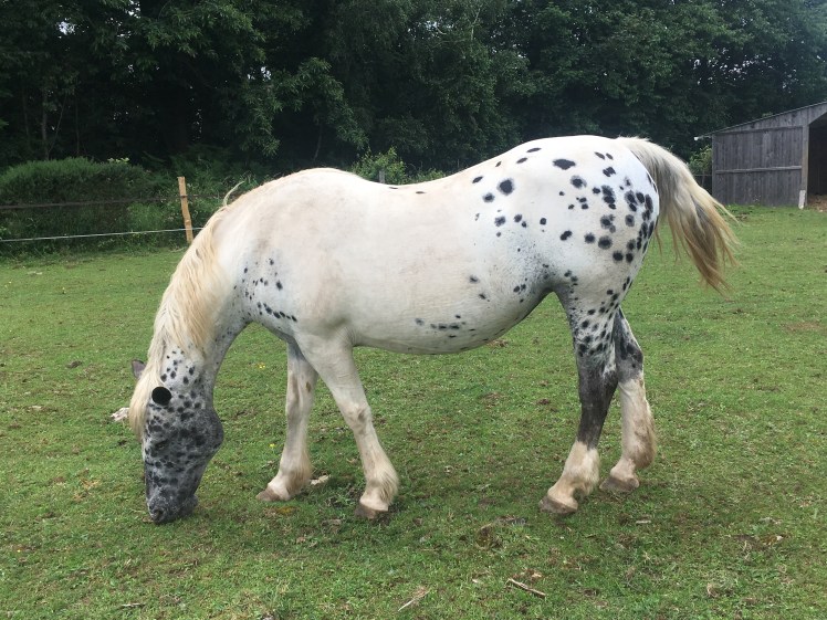 D5F5760B-7D75-4F9D-AF96-B29F9025359B