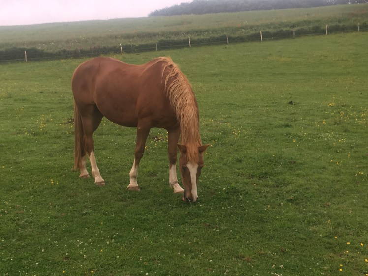 DC90C798-A4EC-4F9F-ABDF-AAAF846989F3