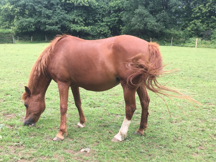 EA6D51DA-1EDB-491A-BE15-23D6FE8B42AC