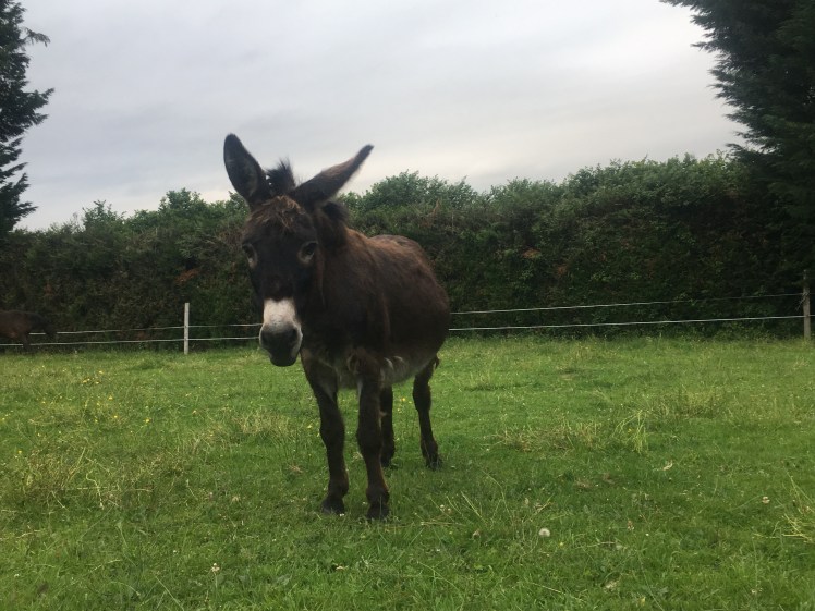 F92FDDA0-A49D-40BF-ADCF-72ECB517F8C5