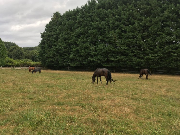 05517996-E19C-49ED-971B-29E08230B8C9