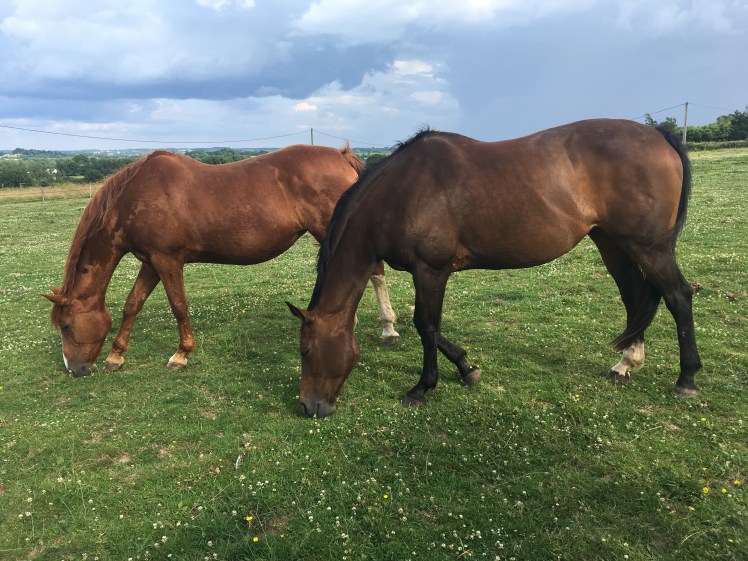 086A1B82-9F40-49E2-B52C-CCFD067FA411