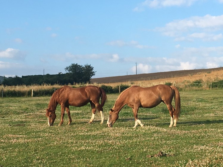 131EBD6C-D328-439D-9D26-19EA1EE87641