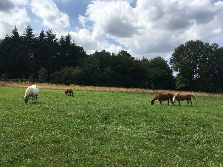 1B57943B-782A-4B52-BE86-999B86DE096F