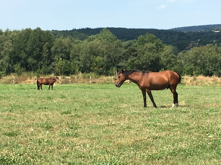 2141266B-1B43-423C-B428-3FD49501FF7E