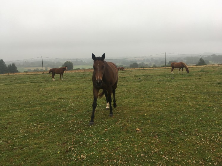 22BDB89E-14AA-4189-BE63-3A854C30440E