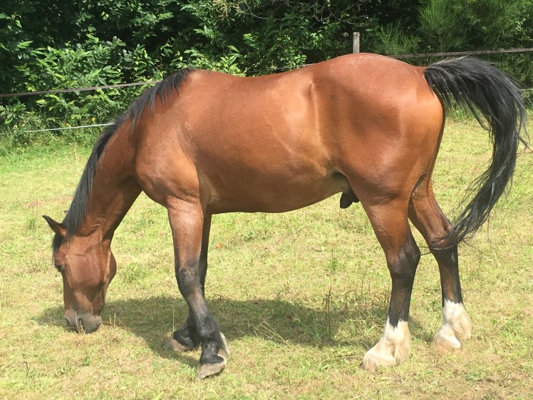 2A7D6D1C-9822-4A88-ACD3-03769A8E12AE