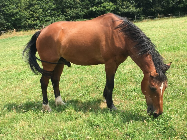 344AB20E-869F-40FC-8C53-2F399106EE4B