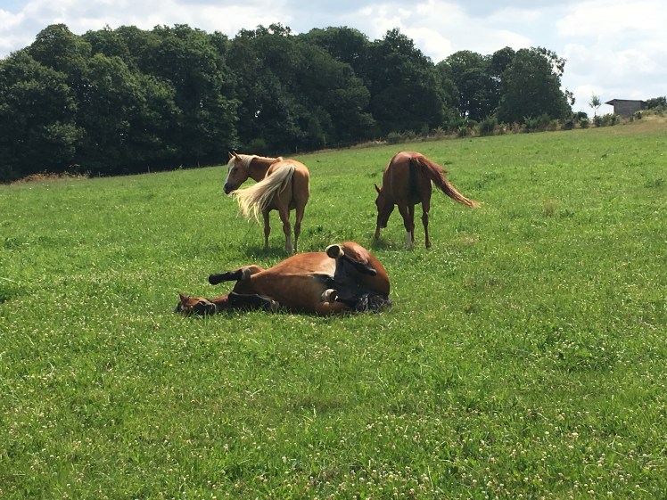 39447E71-40BB-4E1B-AB8A-90B0E65246D6