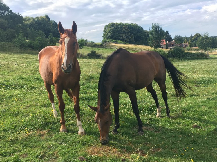 3C8D8BAE-1056-48E2-9BB8-377FCF18014C