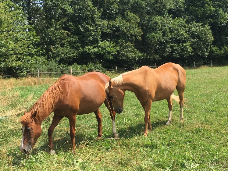 4127F6F3-3953-4F12-832D-1A22903768A1