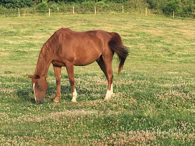 450E4A50-F982-4C5D-860F-C30B29456FC2