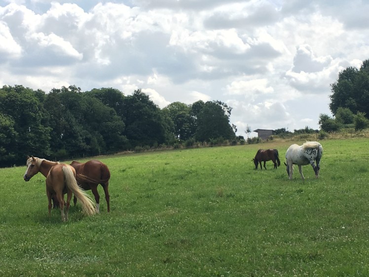 4B0C7BF3-3019-43E6-91EF-C3D54826A74F