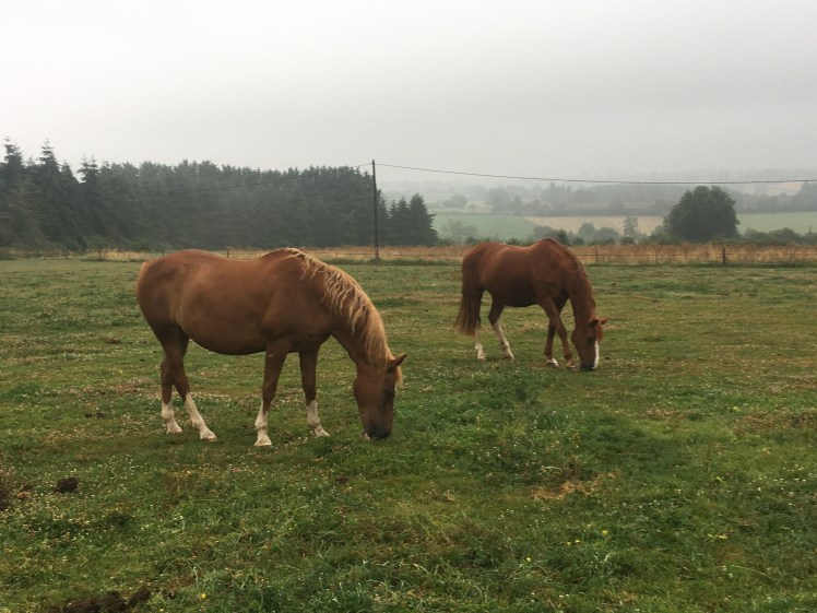 4E735B16-8841-4C32-A664-C313AD33545C