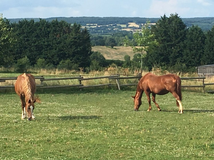 5107CC3D-3B1A-4BB0-90A9-E9E2197C4E79