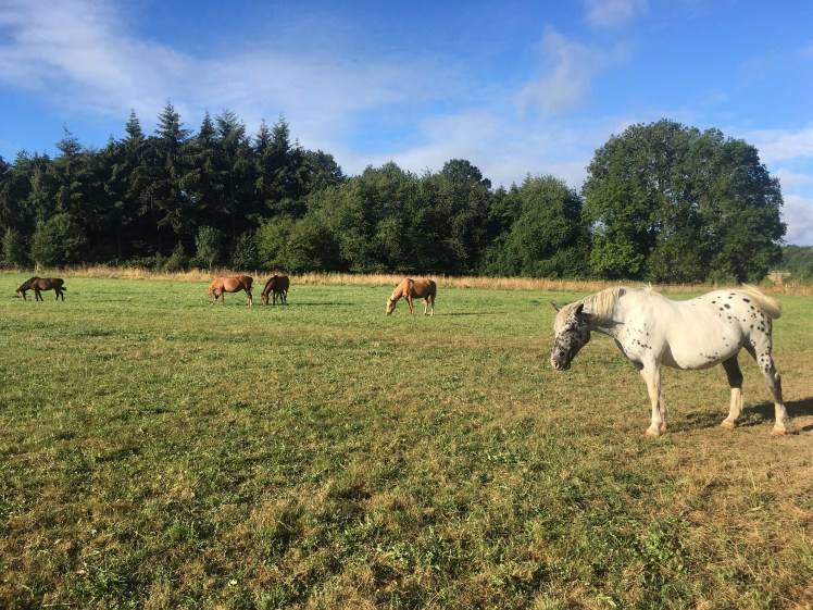 52E78A76-DD27-4E41-B78B-942B510D9841